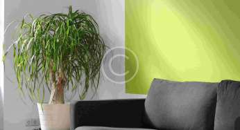 Ways To Decorate With Paint